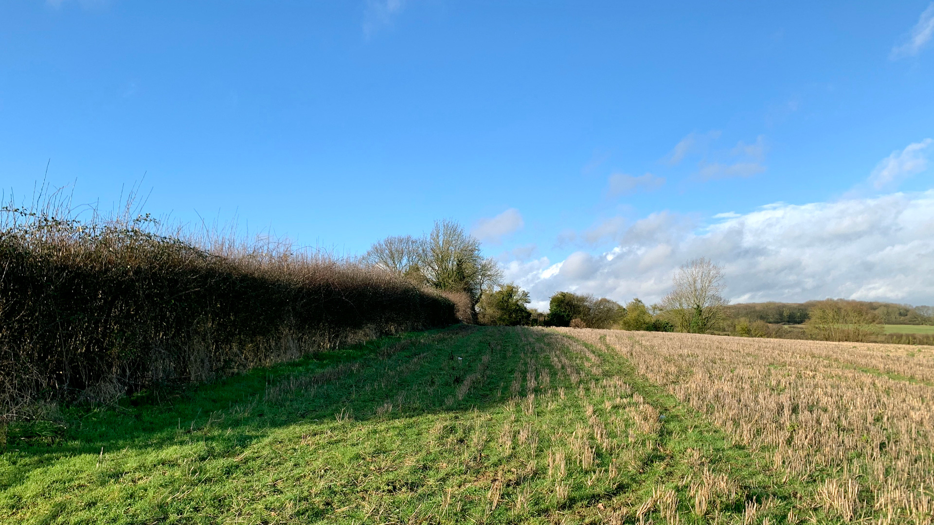 Land for sale in Aston End, Hertfordshire