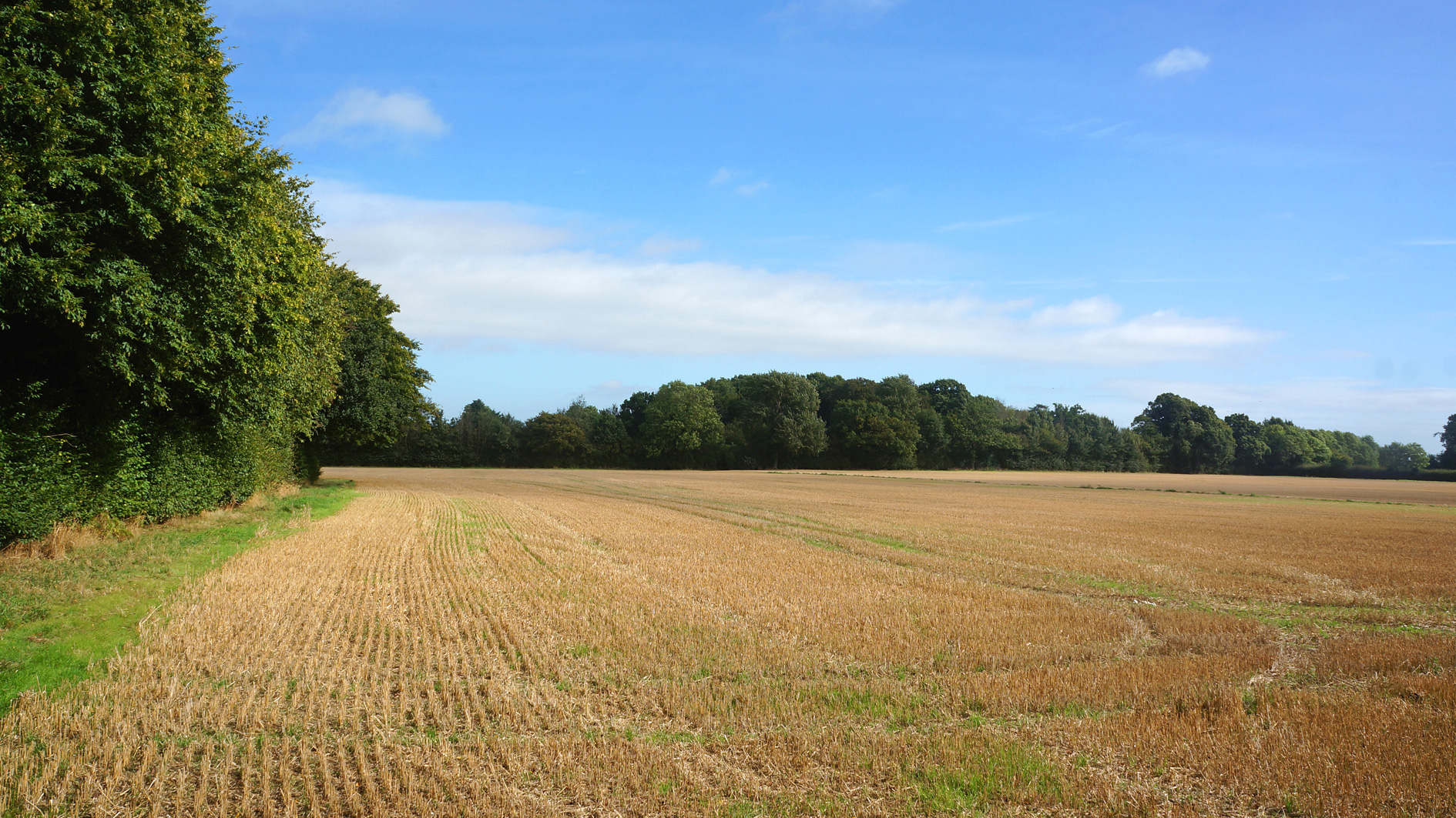 Agricultural land for sale in Gaddesden Row