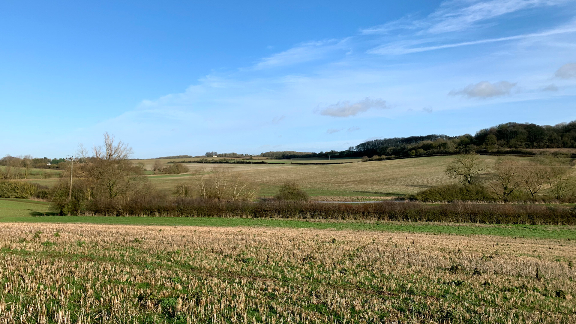 Arable land for sale in Aston End