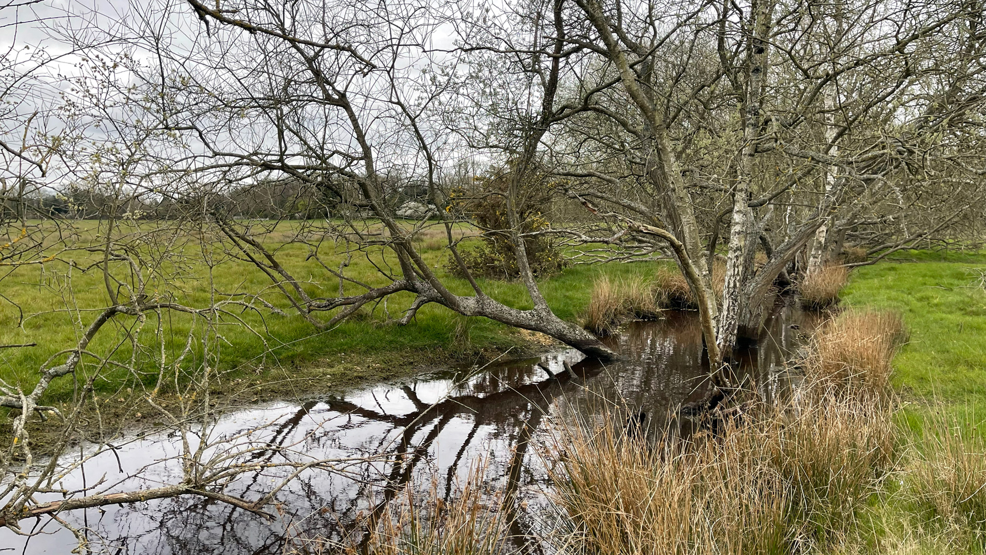 Enclosed land for sale in Sulhamstead, Reading