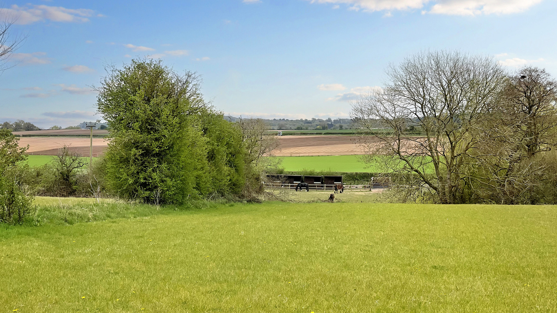 Equestrian land for sale in Trysull