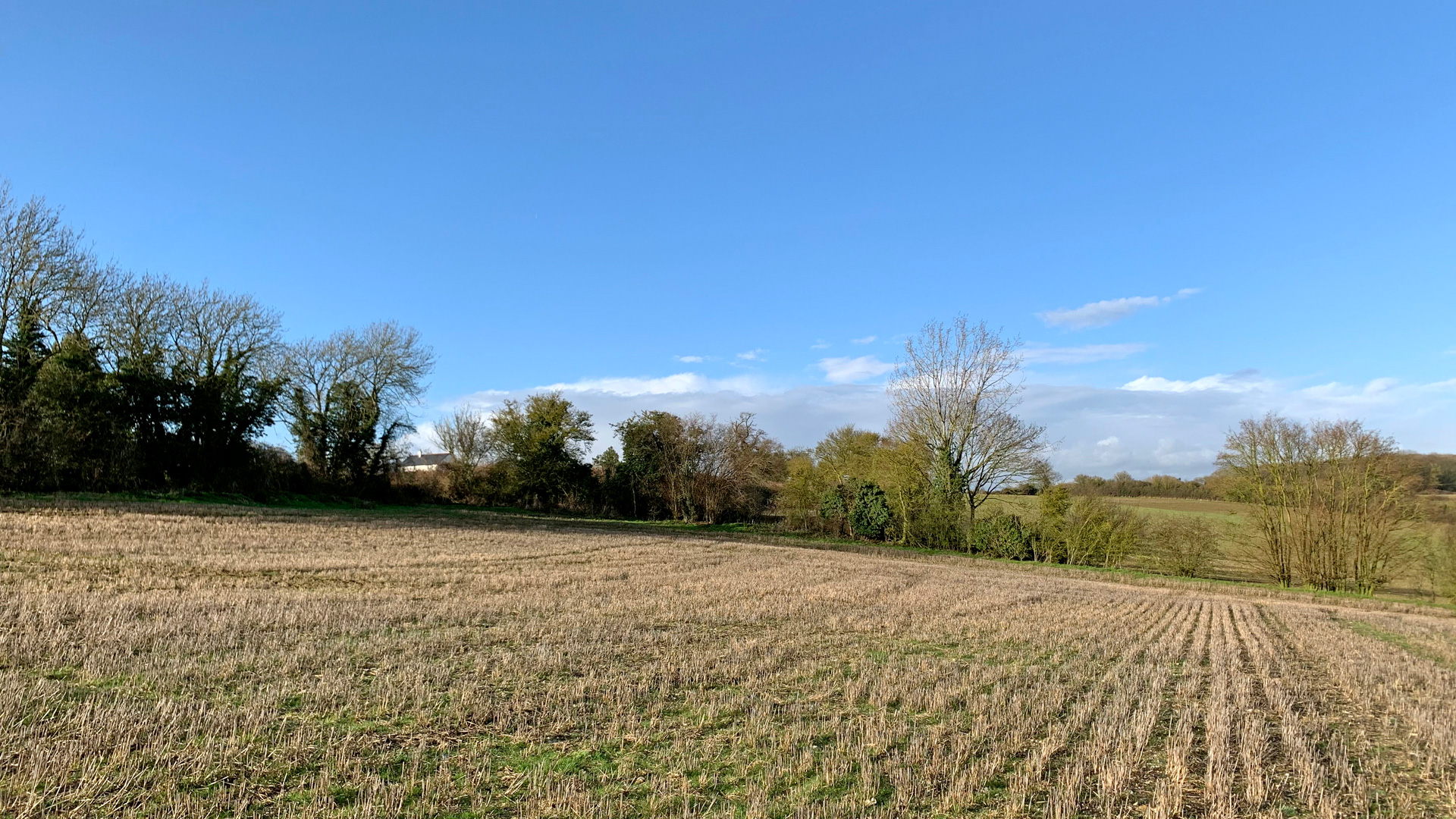 Farmland for sale in Aston End