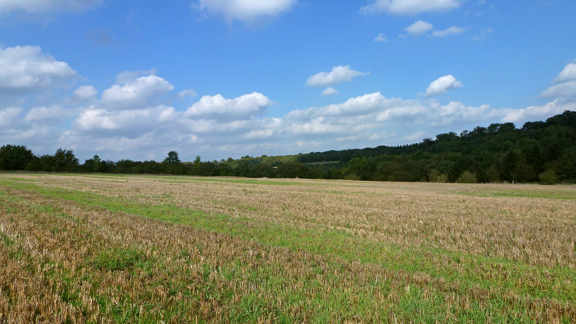 Farmland for sale near Watford