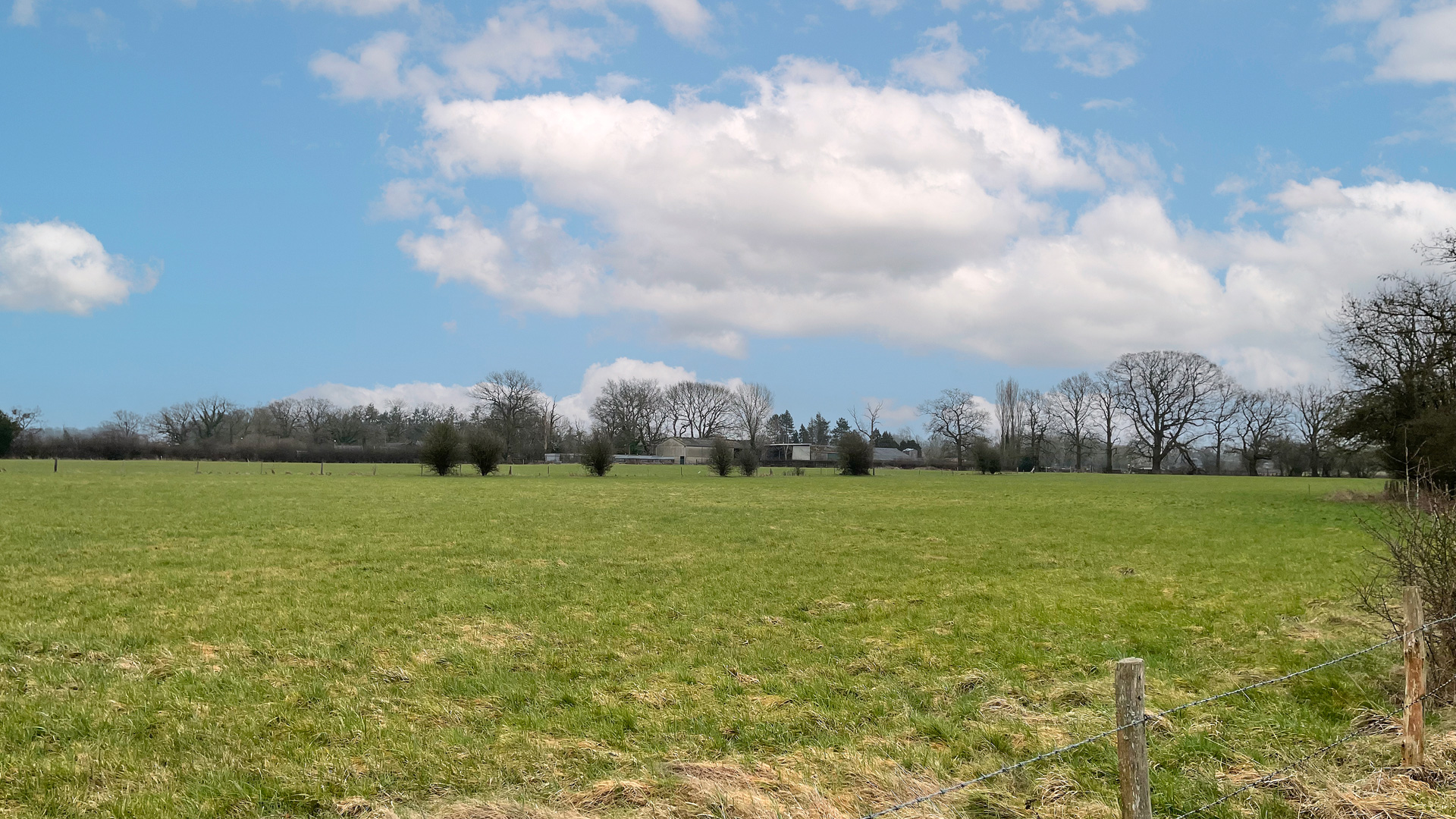 Grazing land for sale at Branford Paddock in Newchapel, Lingfield