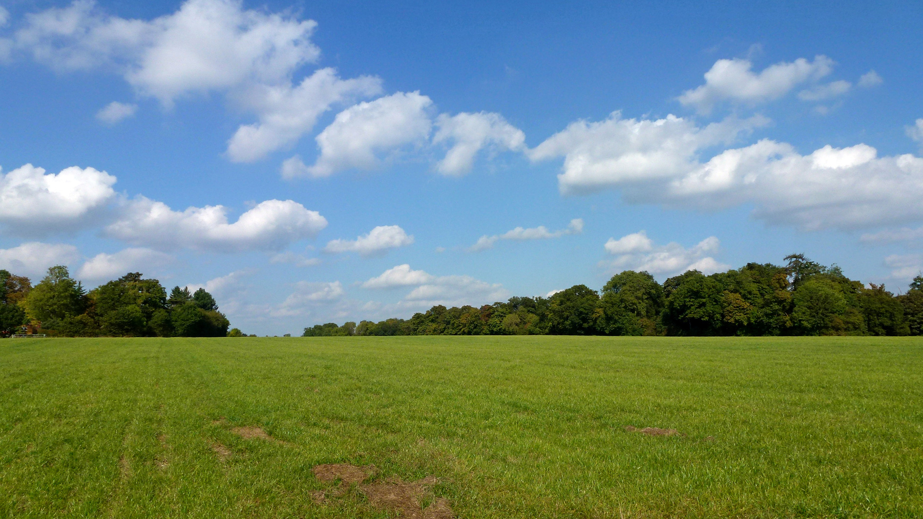 Grazing land for sale in Bricket Wood, St Albans