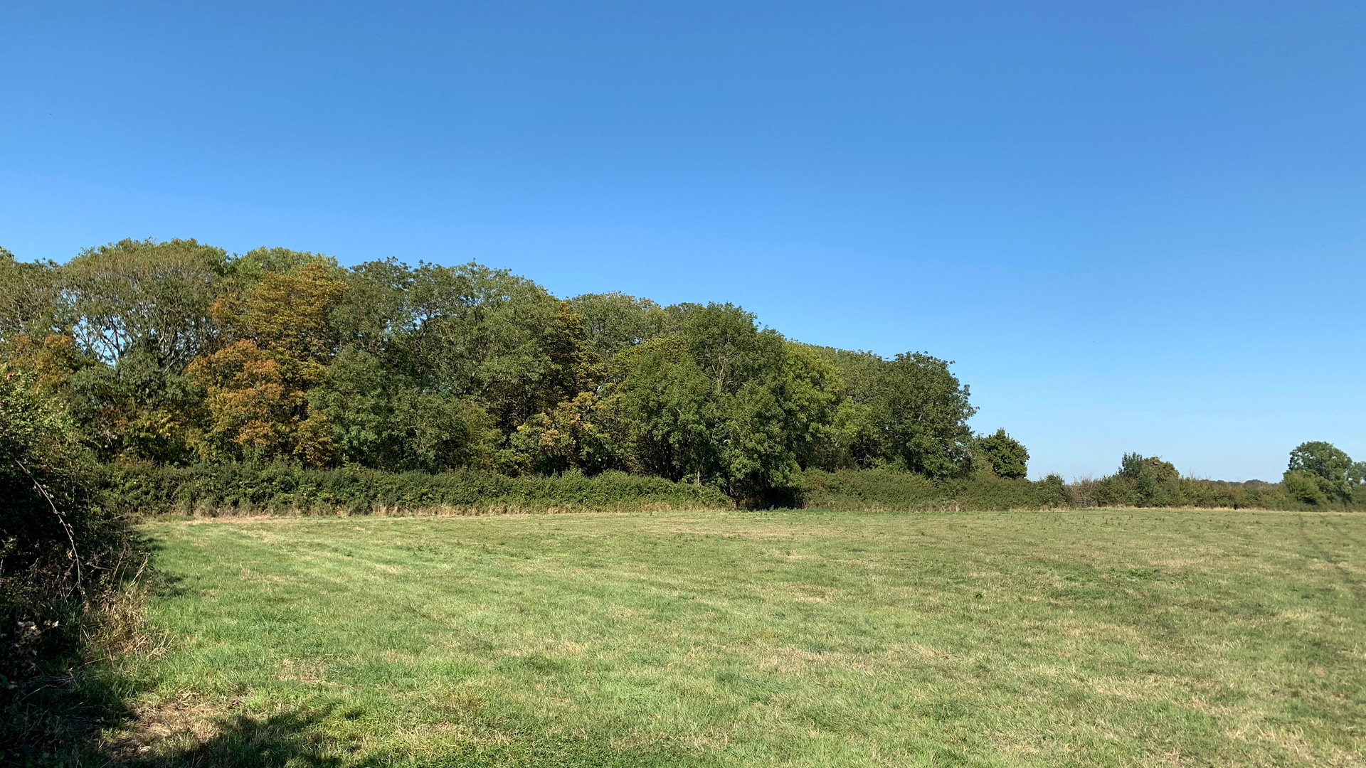 Grazing land for sale in Buckland