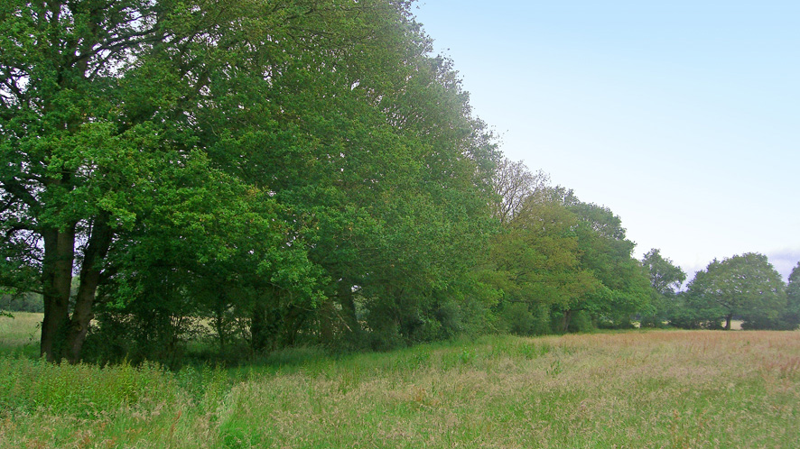 Grazing land for sale in Lingfield