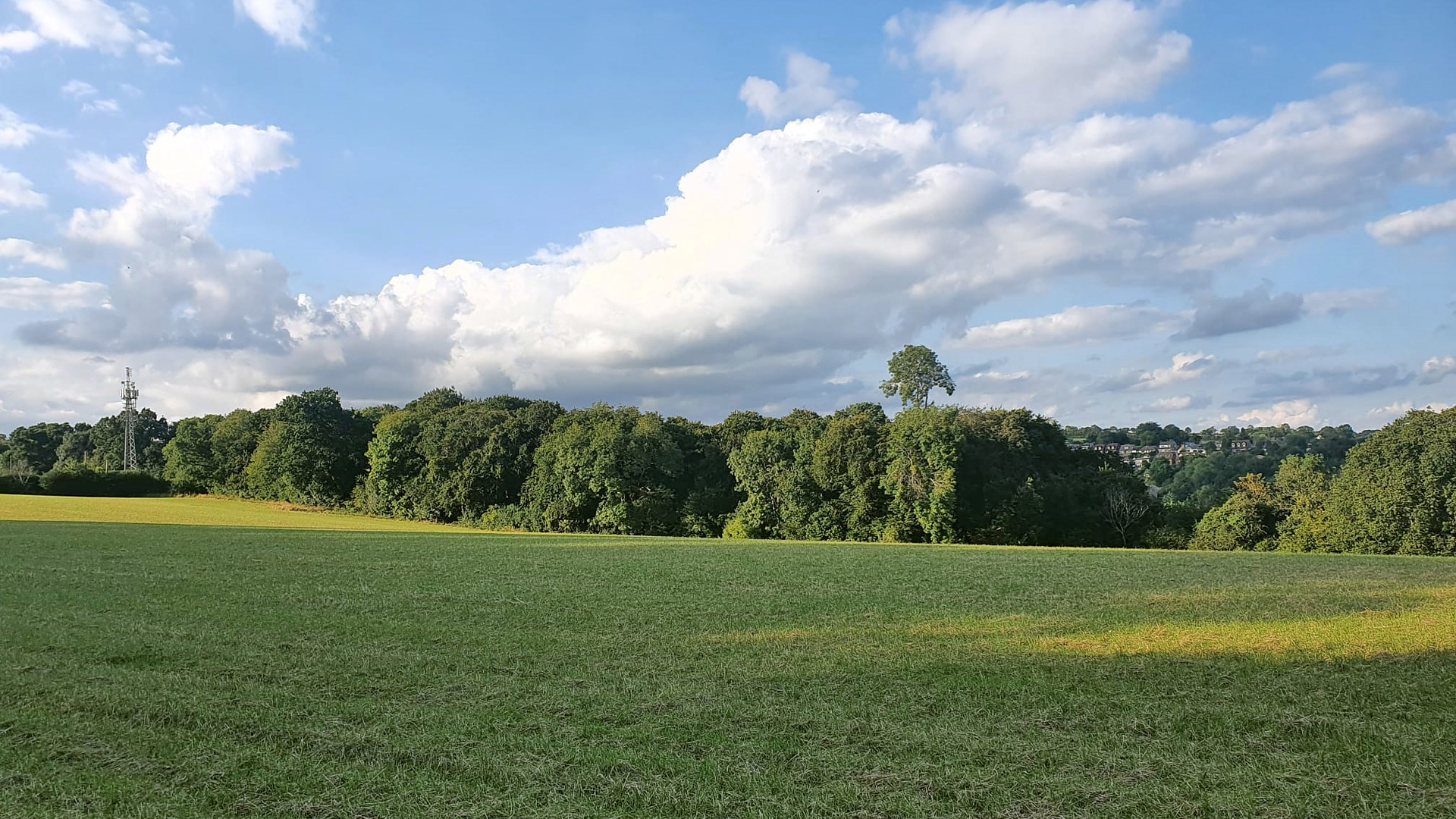 Grazing land for sale in Marlow