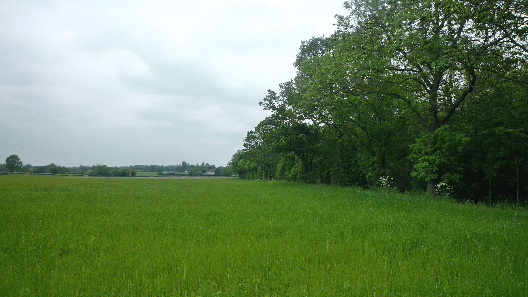 Grazing land for sale in Solihull, Birmingham