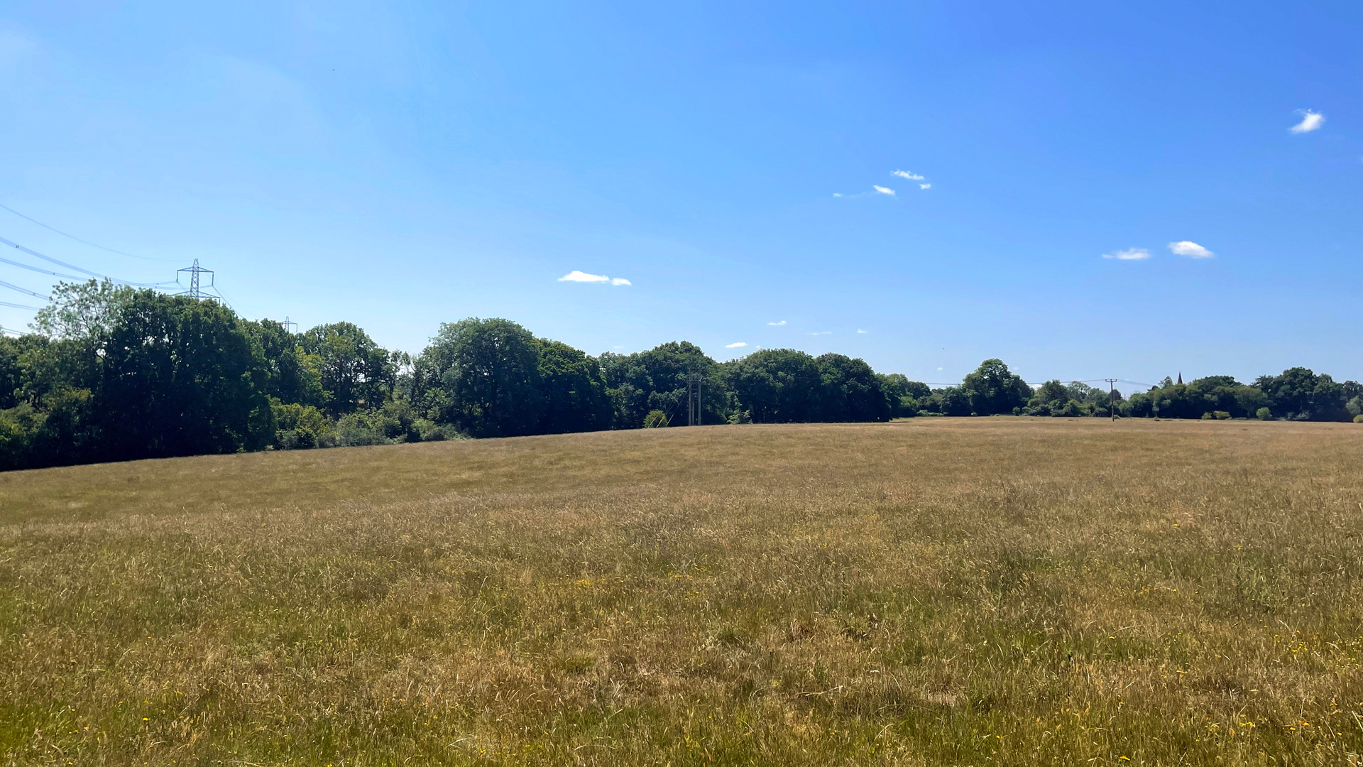 Grazing land for sale in Sulhamstead, Reading