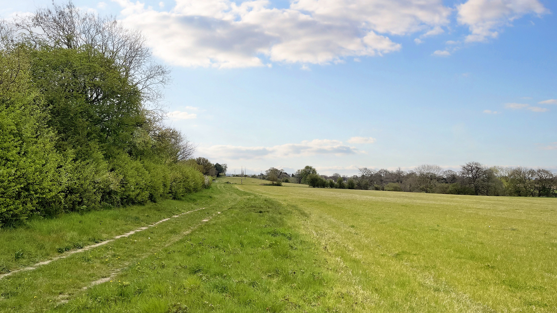 Grazing land for sale in Trysull