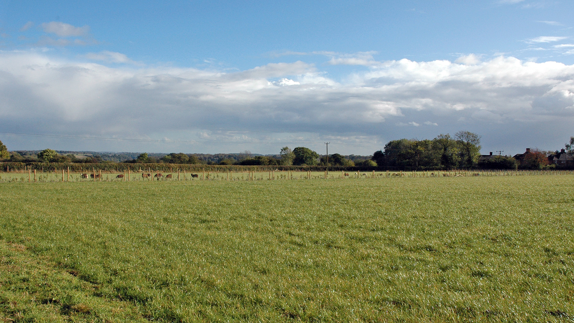 Grazing land for sale in Water End, High Wycombe