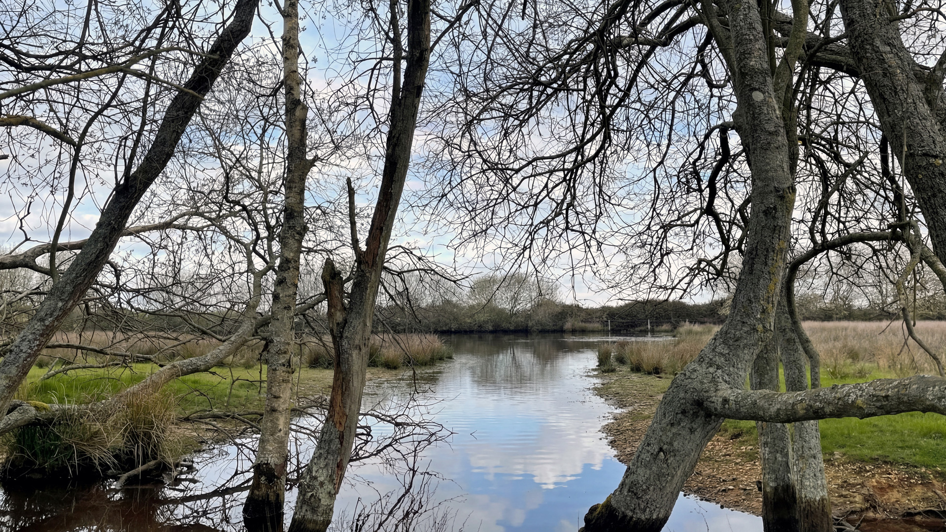 Lake for sale in Sulhamstead, Reading