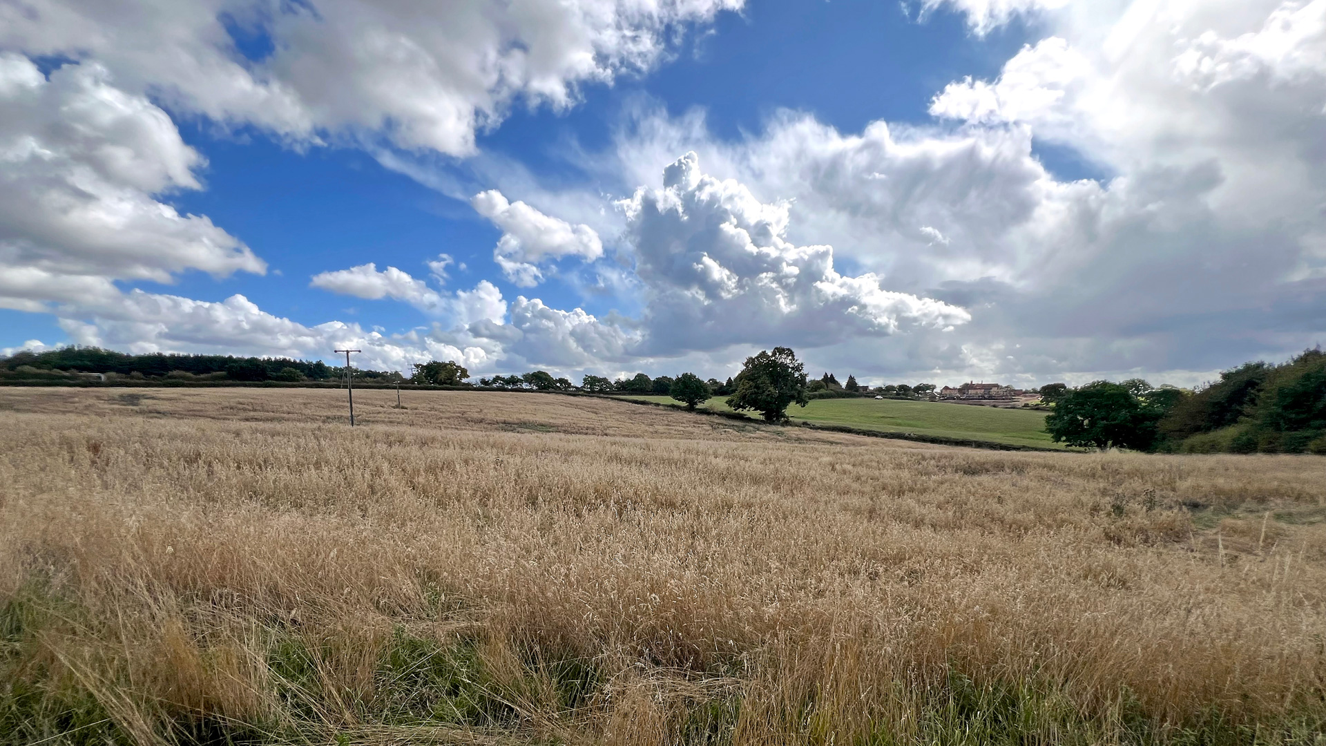 Land for sale in Alvechurch