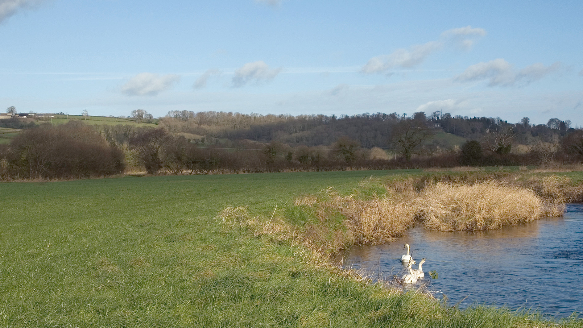 Land for sale next to river in Axminster