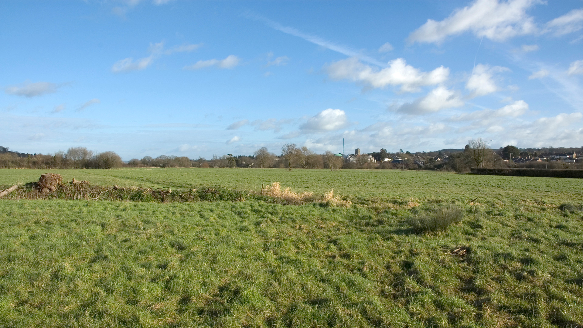 Land for sale in Axminster