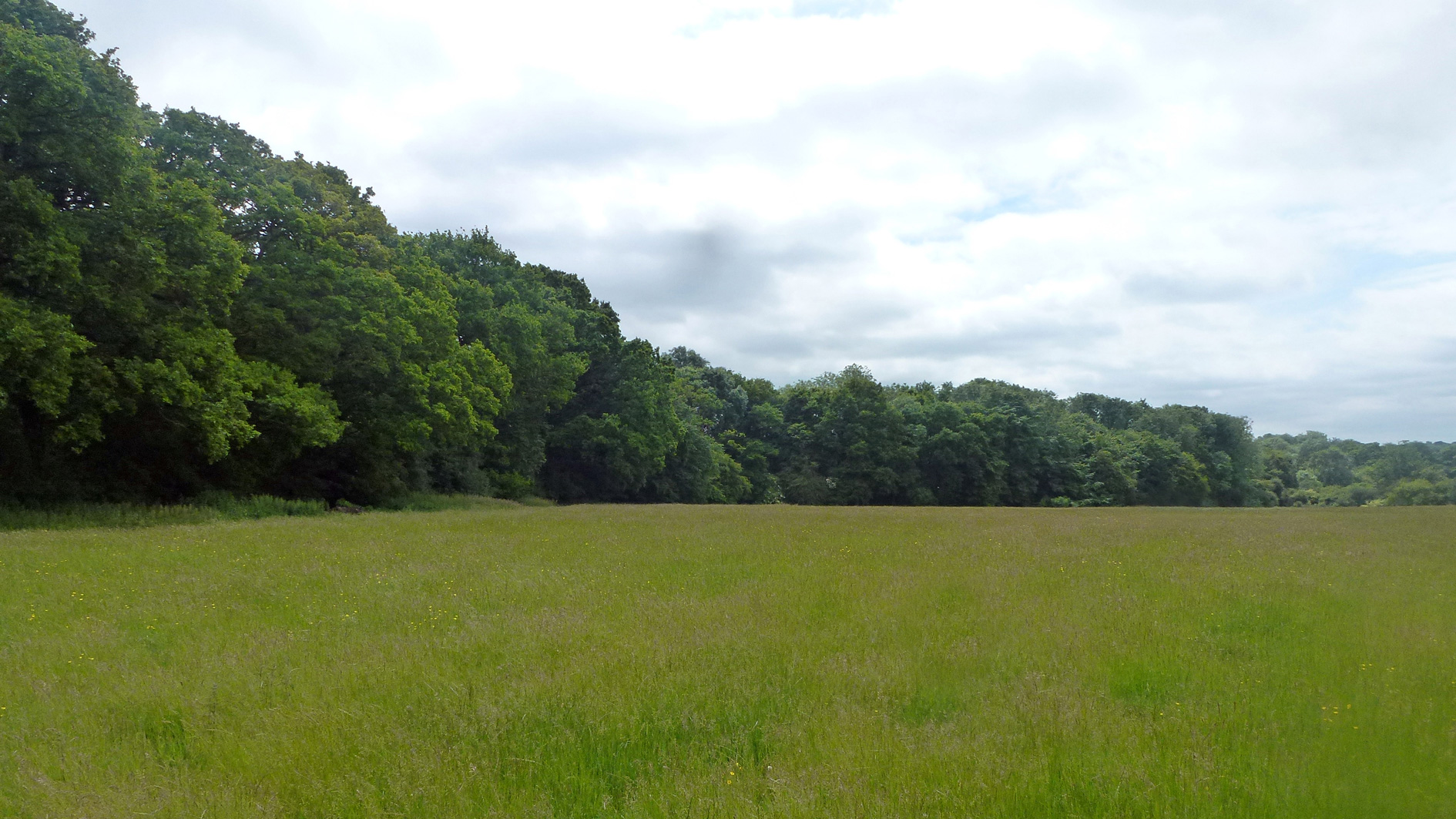 Land for sale in Charlwood