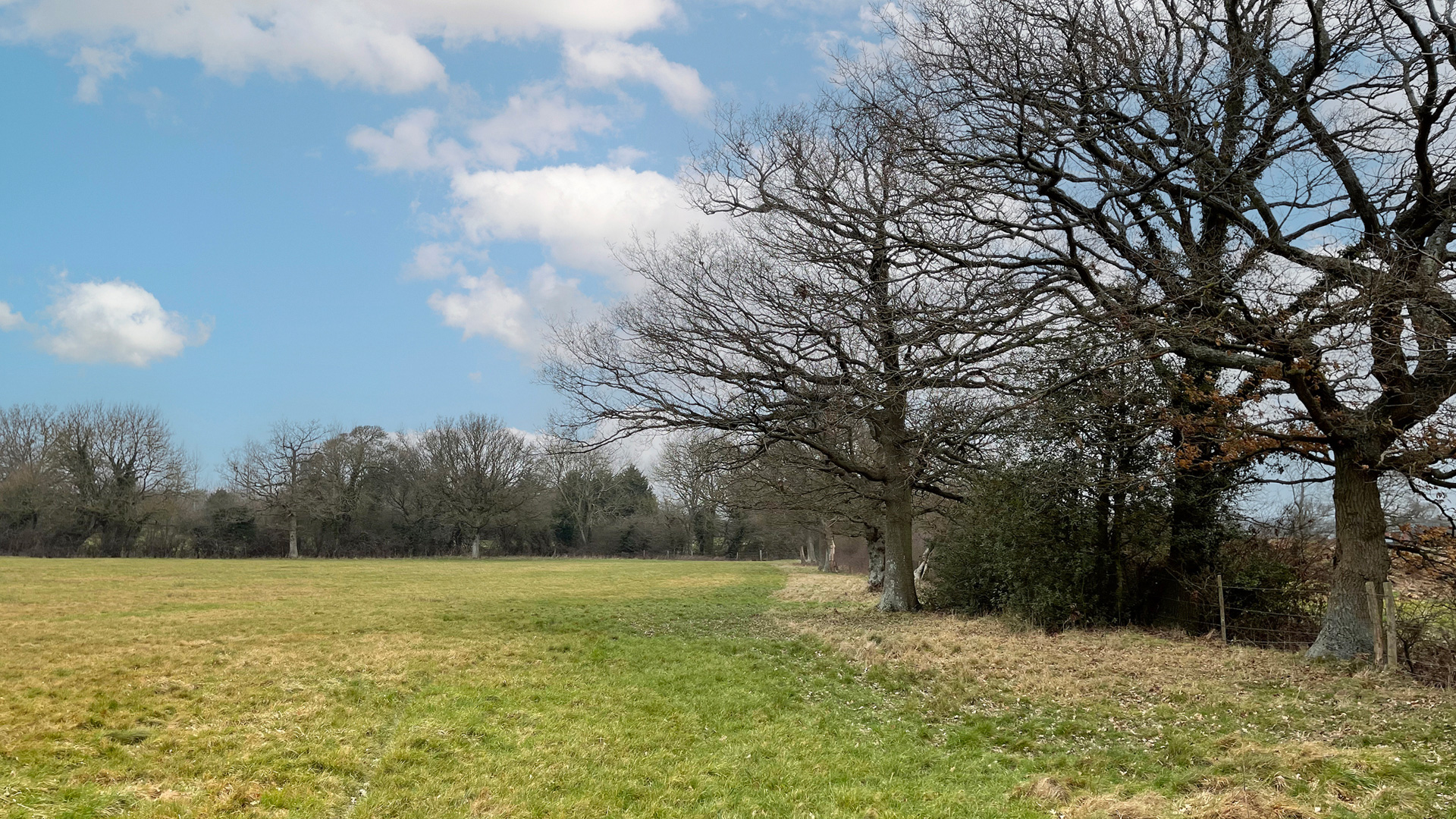 North-eastern boundary of the land for sale on Eden Brook in South Godstone