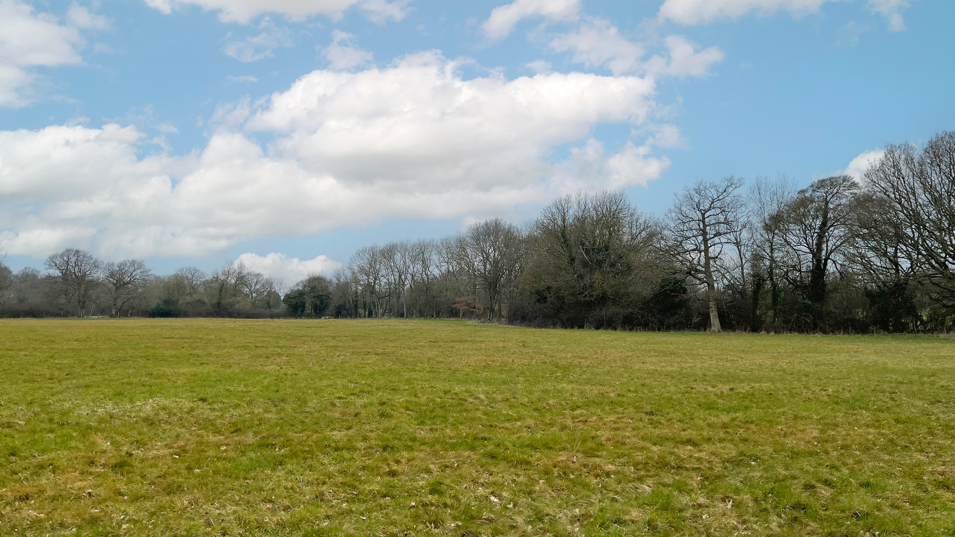 North-western boundary of the land for sale on Eden Brook in South Godstone