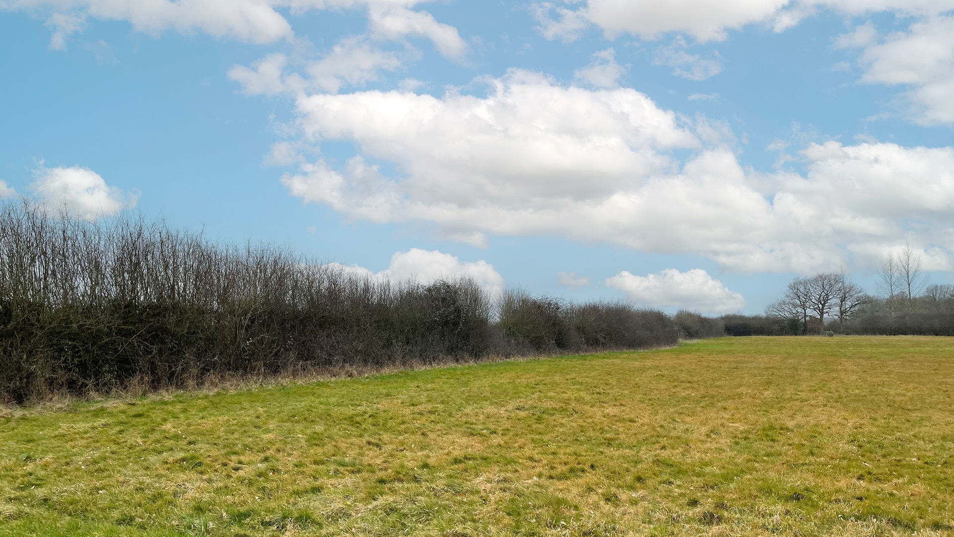 South-eastern boundary of the land for sale on Eden Brook in South Godstone