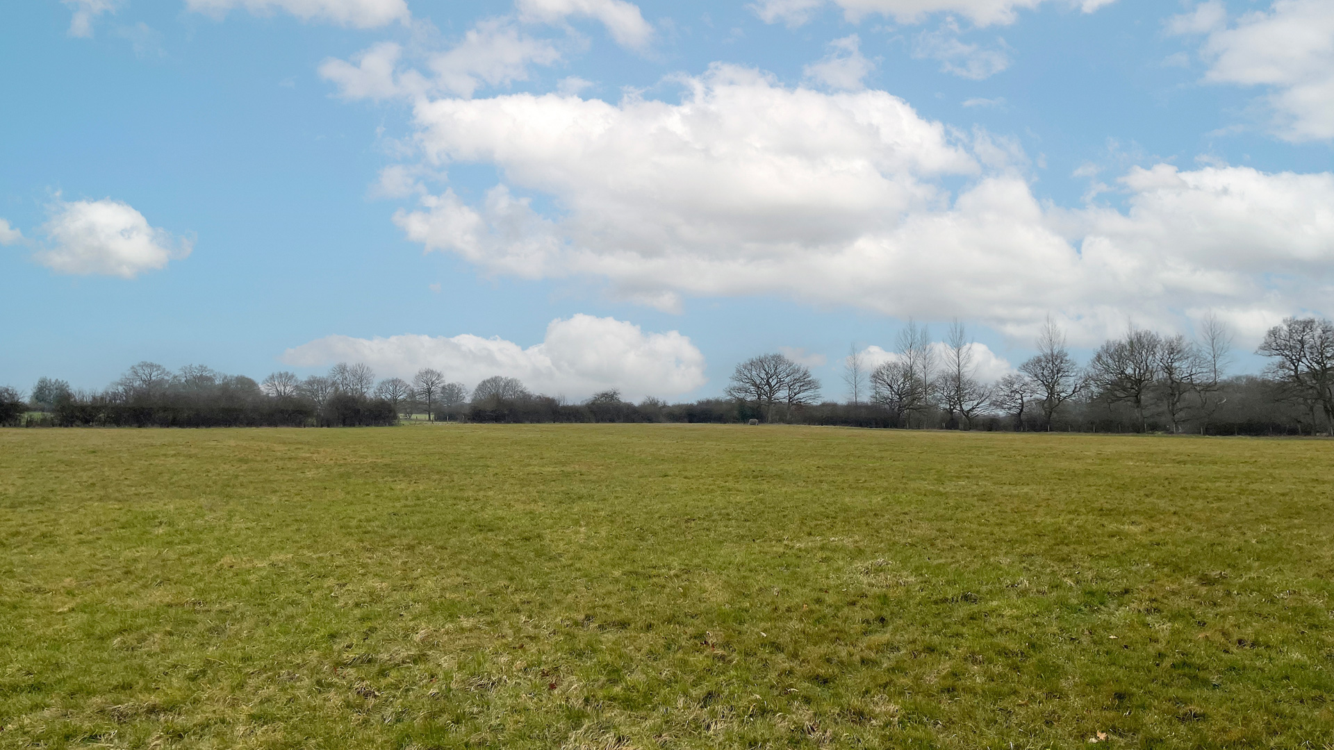 South-western boundary of the land for sale on Eden Brook in South Godstone