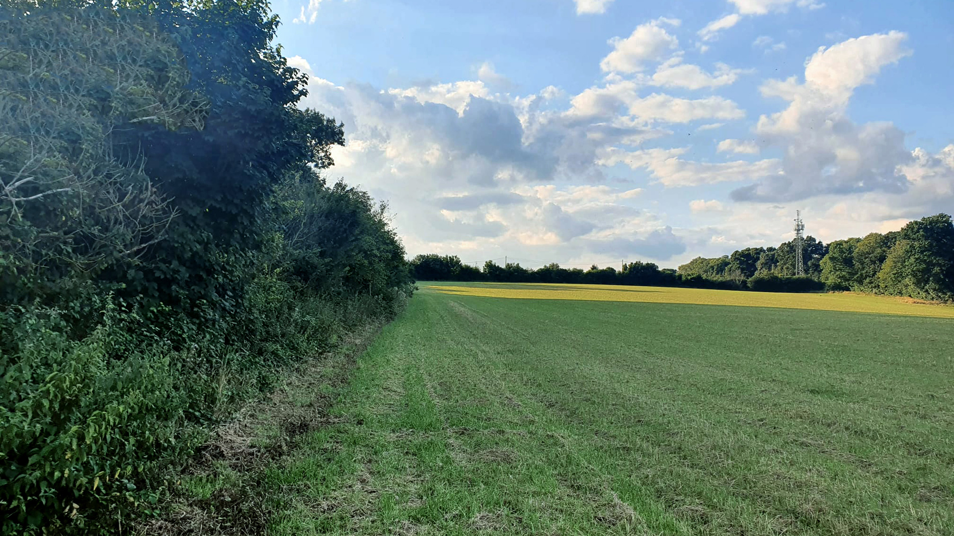Land for sale in Marlow