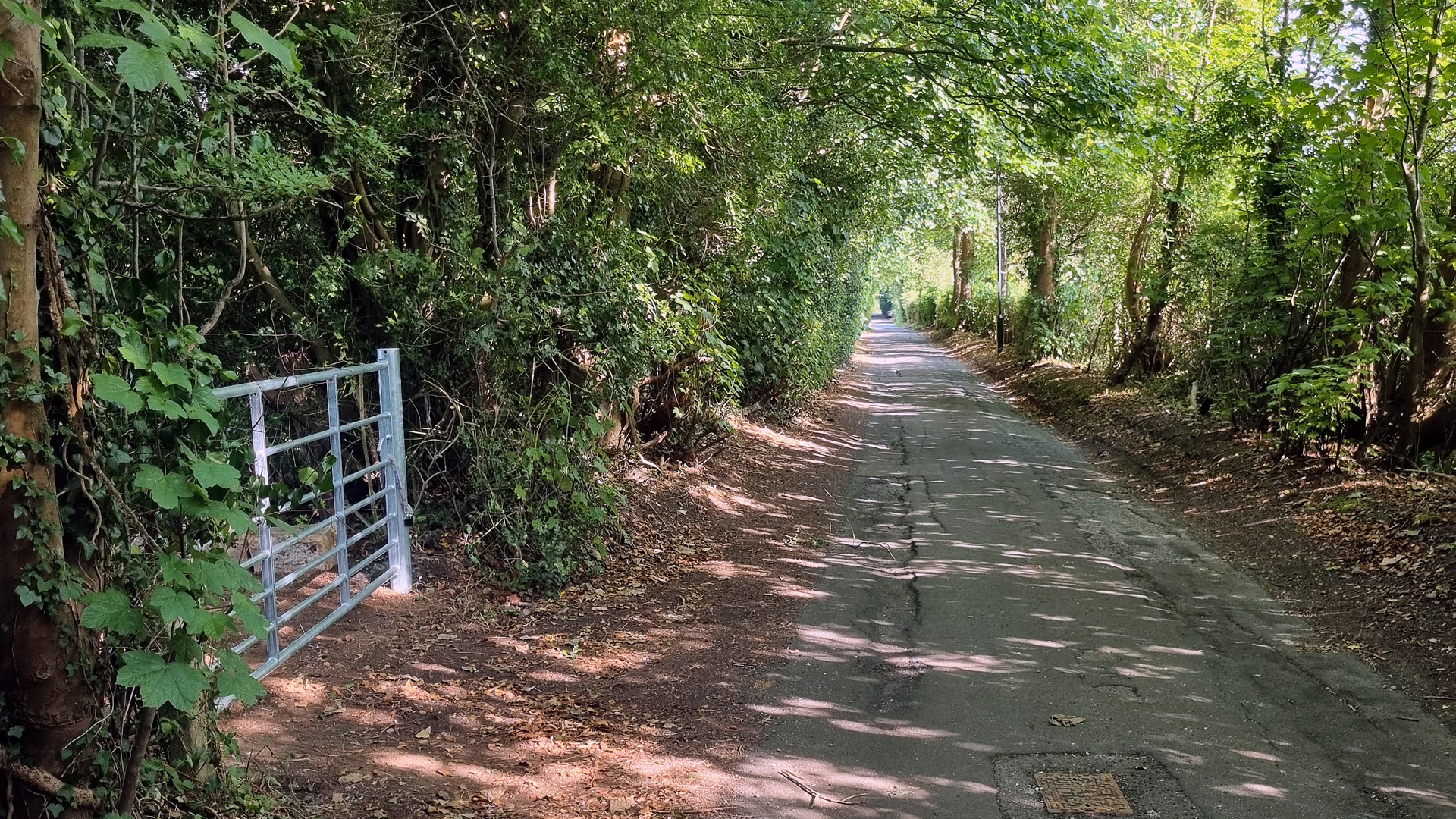 Land for sale on a residential road in Kenley, London
