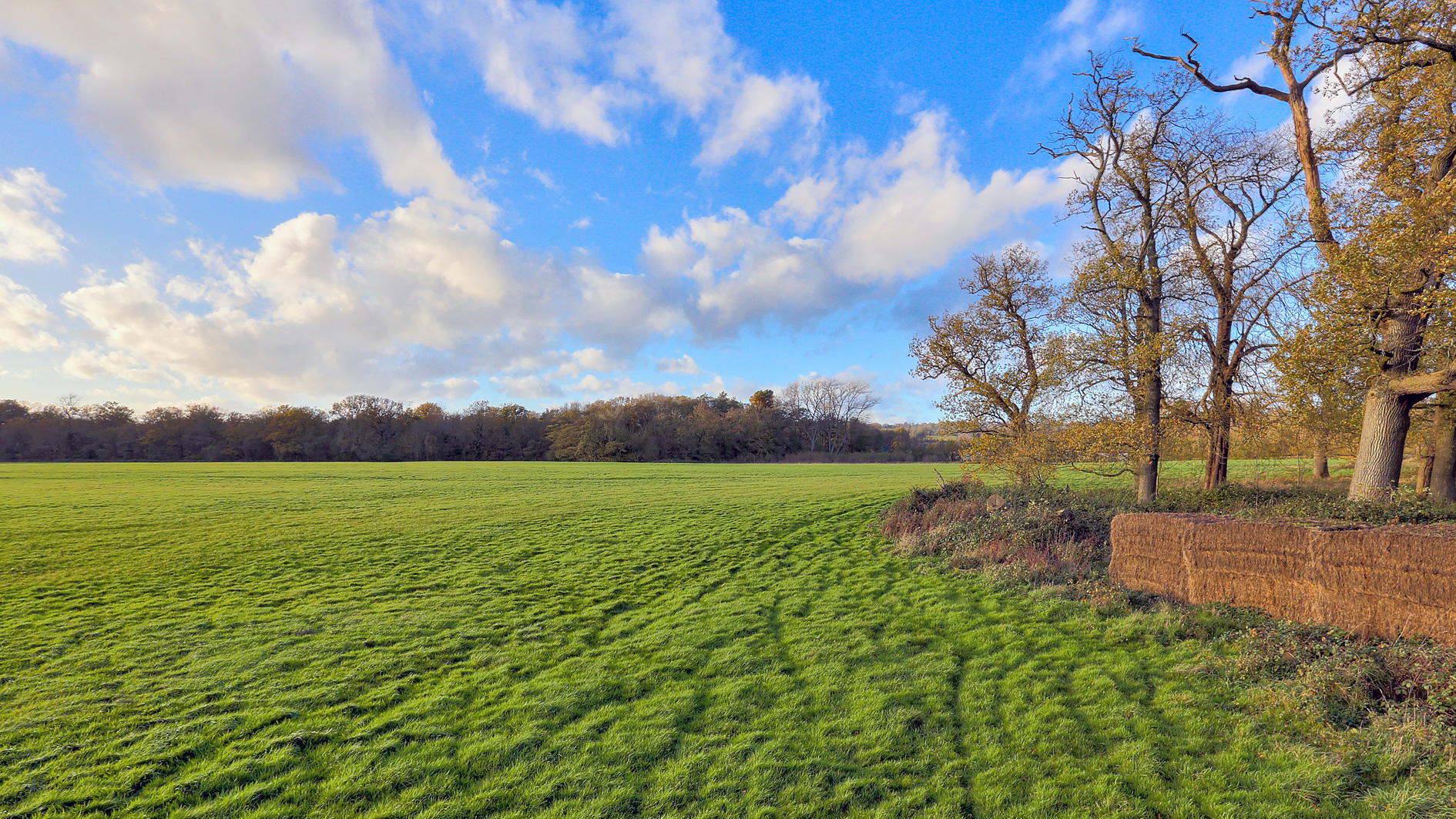 Land for sale in Sevenoaks