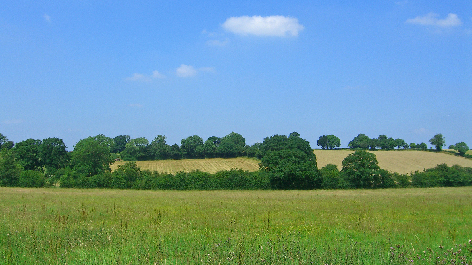Land for sale in Shrewley