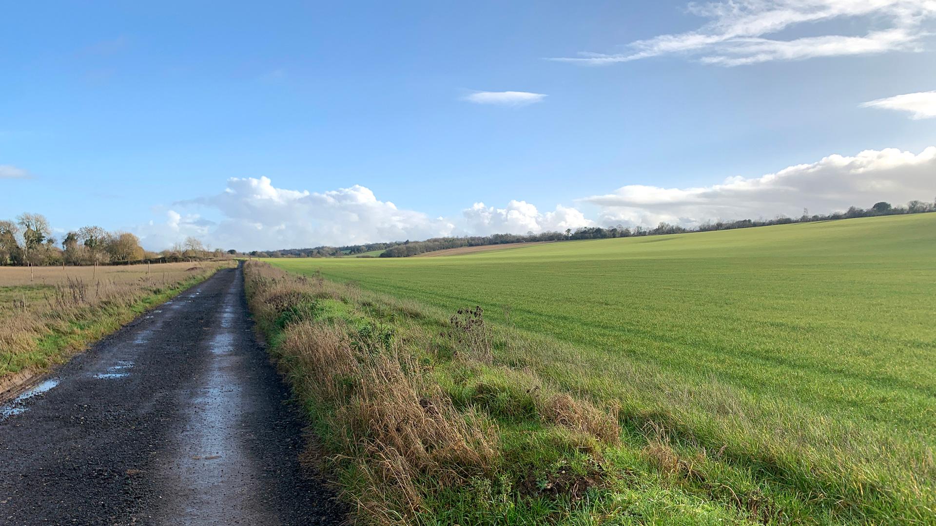 Land for sale in Wanborough, Guildford private track access