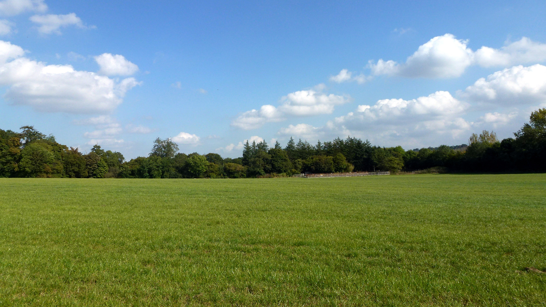 Paddock land for sale in Bricket Wood, St Albans