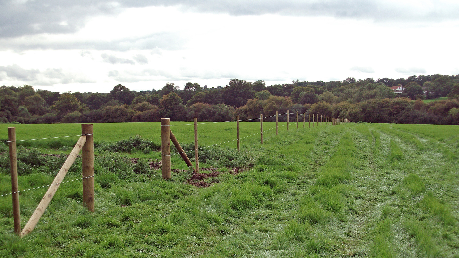 Paddock land for sale in Charlwood