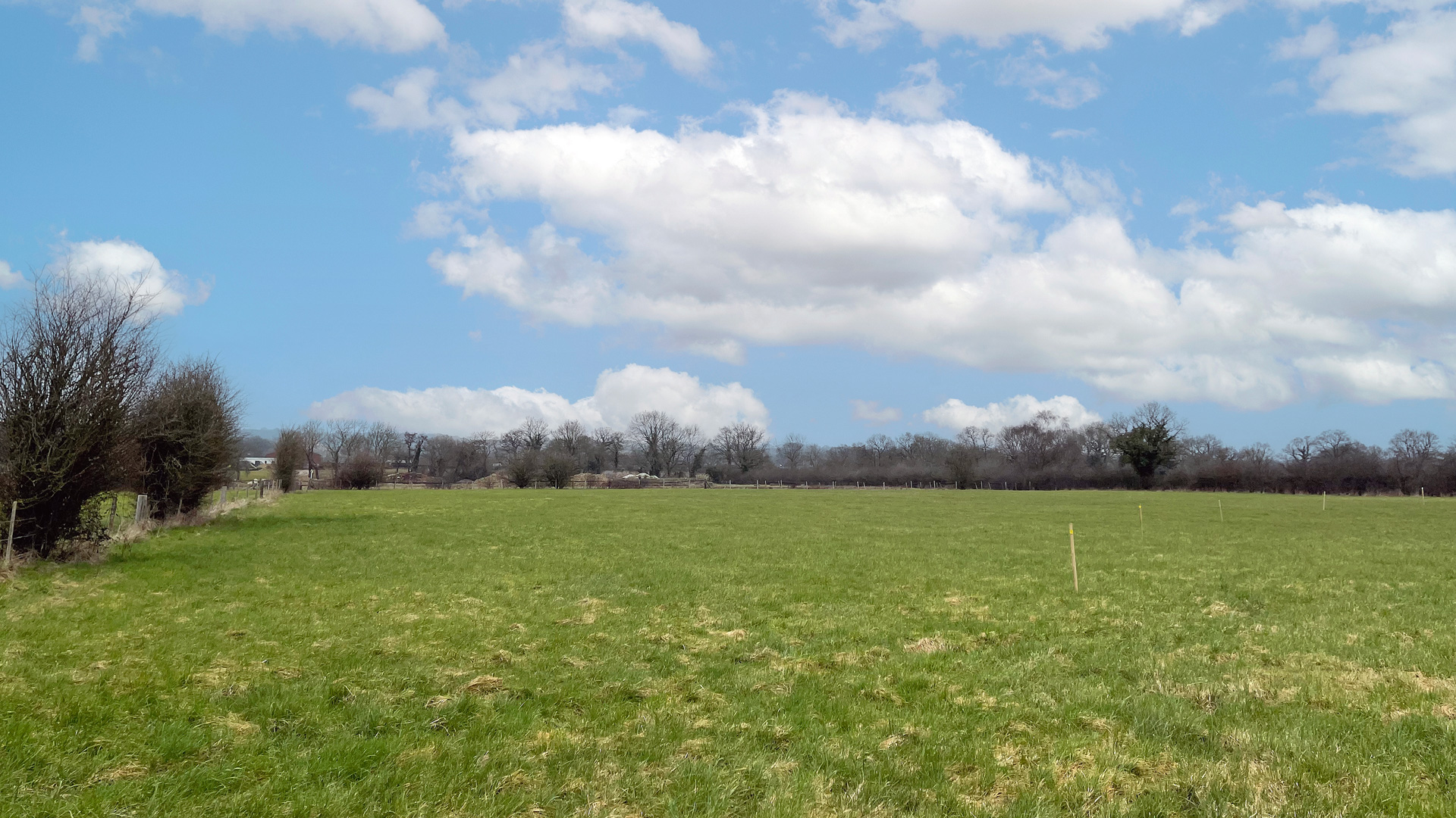 Pasture land for sale at Branford Paddock in Newchapel, Lingfield