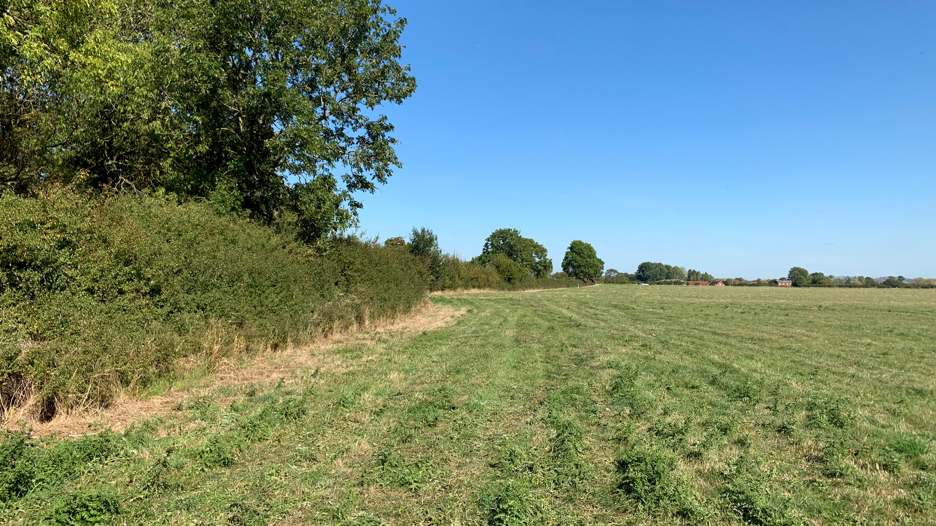 Pasture land for sale in Buckland