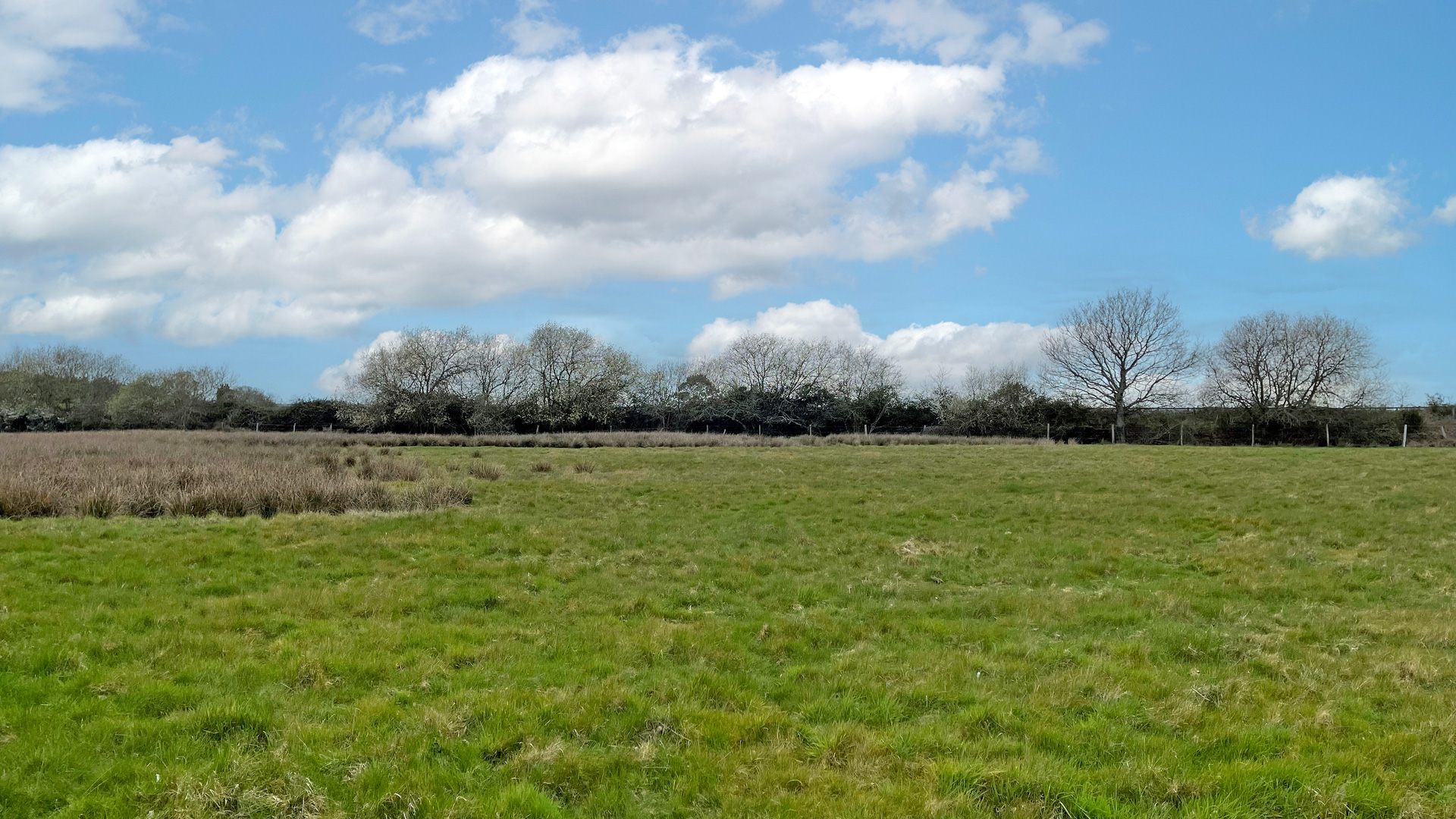 Pasture land for sale in Sulhamstead, Reading