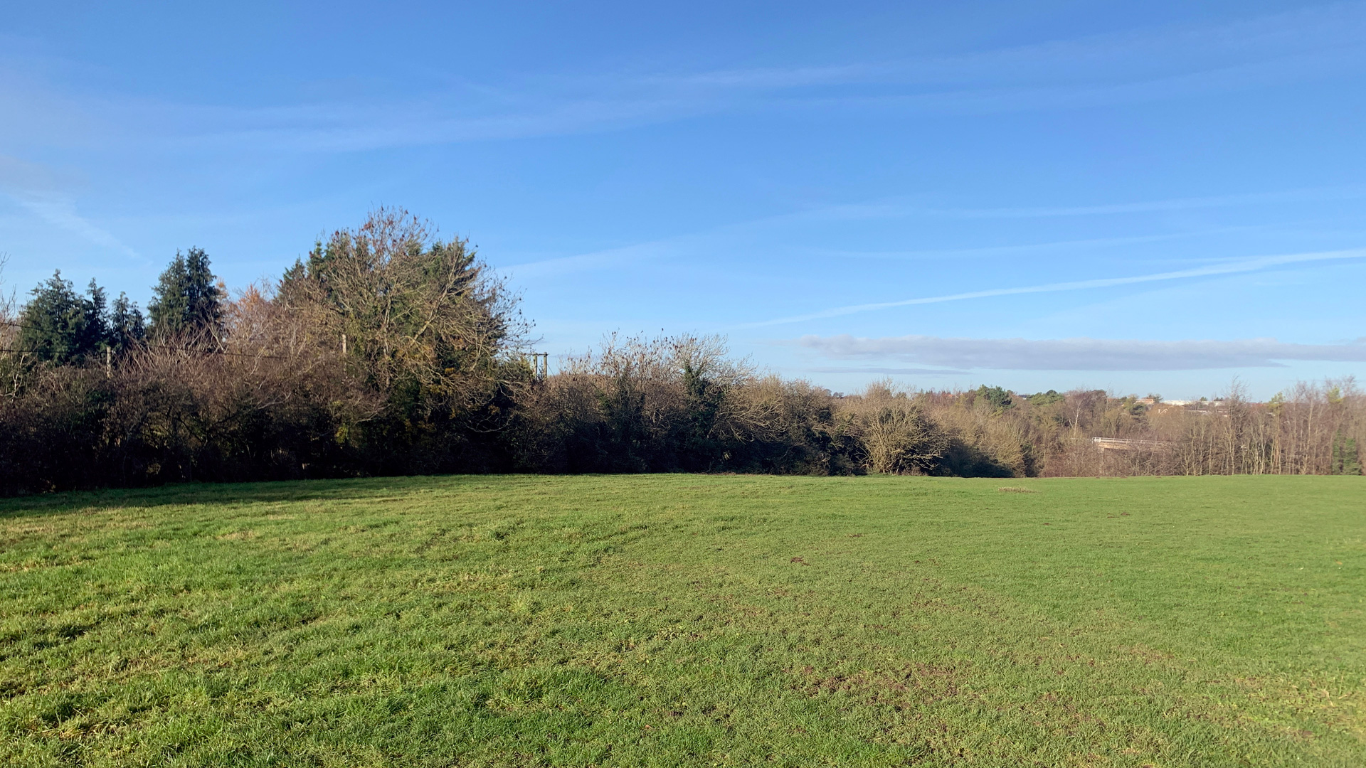 Pasture land for sale in West Leith, Tring