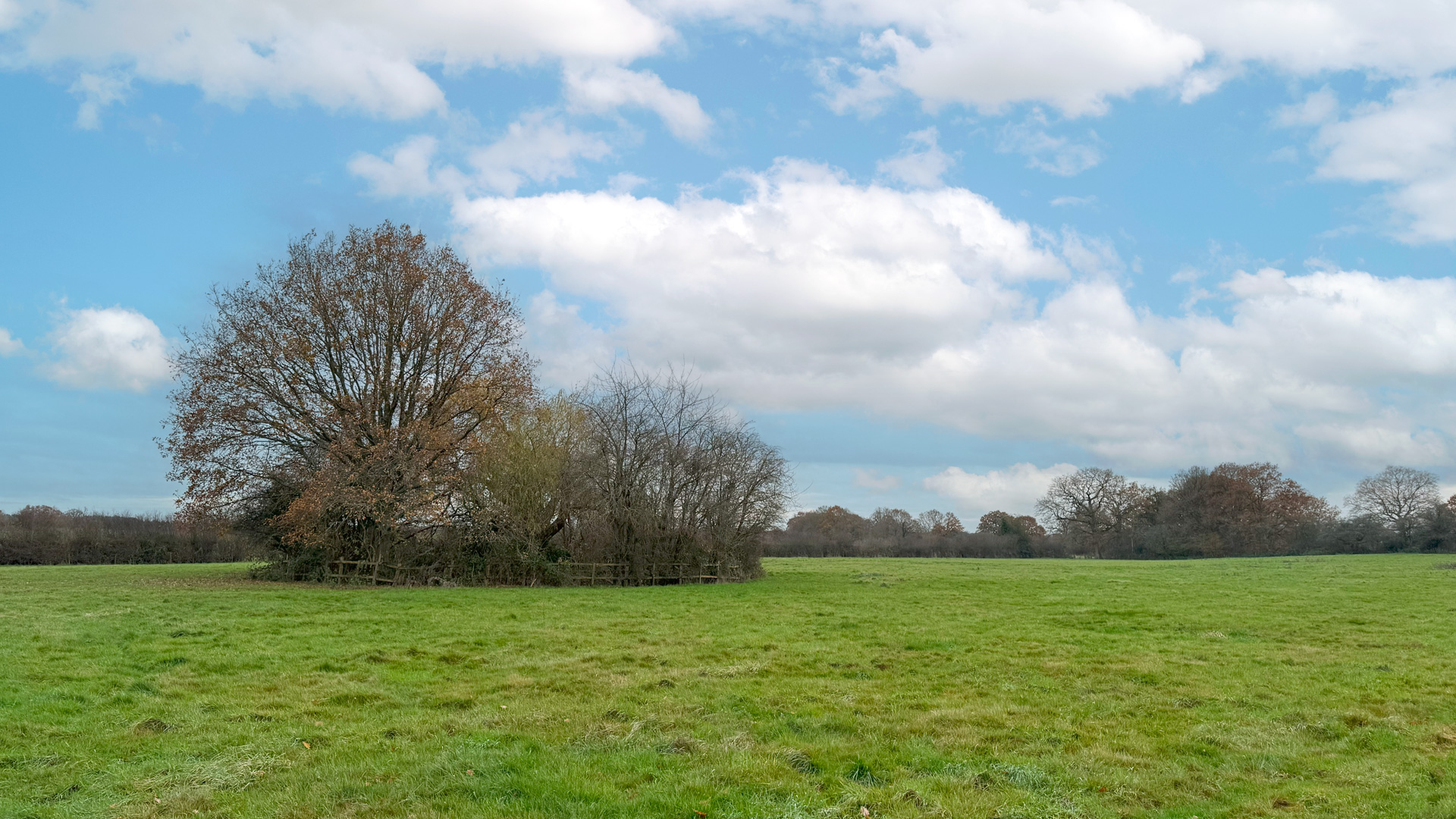 Pond & Land for sale in Newchapel, Lingfield