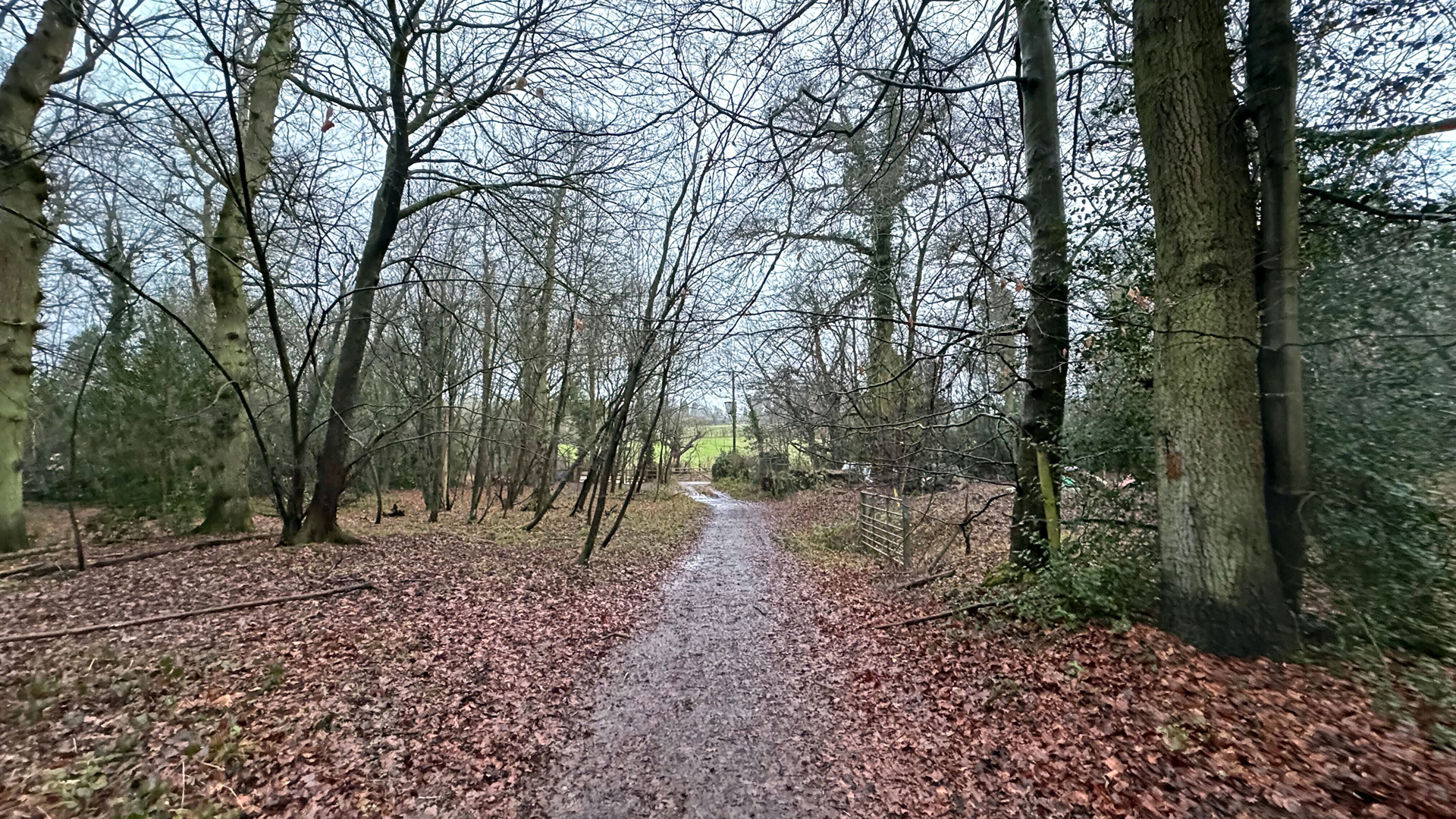 Woodland for sale in Flaunden access