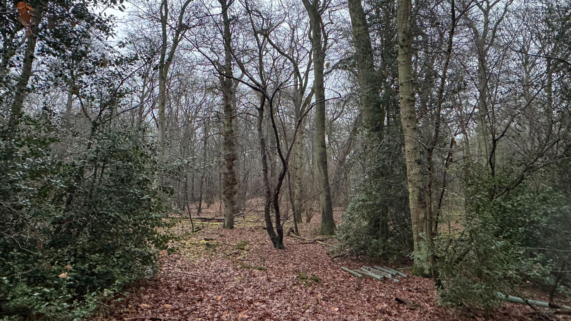 Woodland for sale in Flaunden